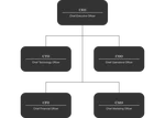 Figular: org chart released