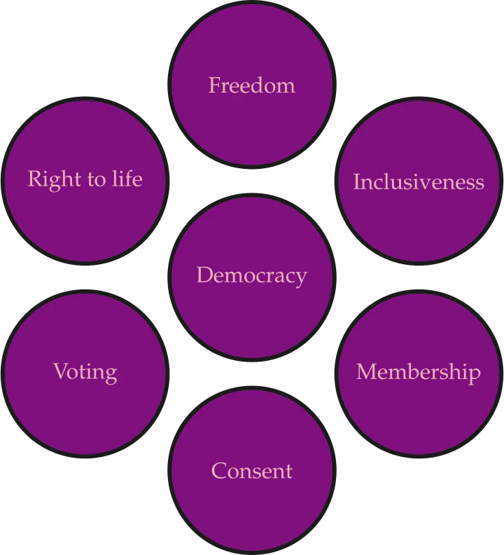 The word Democracy appears at the centre of a circle of these other words and phrases: Freedom, Inclusiveness, Membership, Consent, Voting, Right to Life